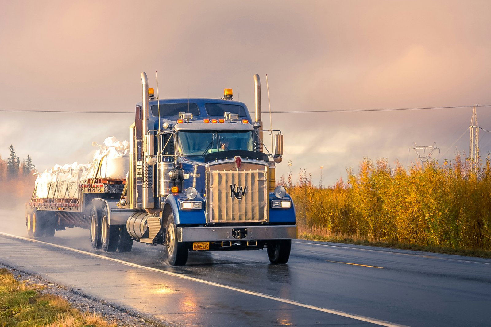 Salvage Western Star Truck to Sell
